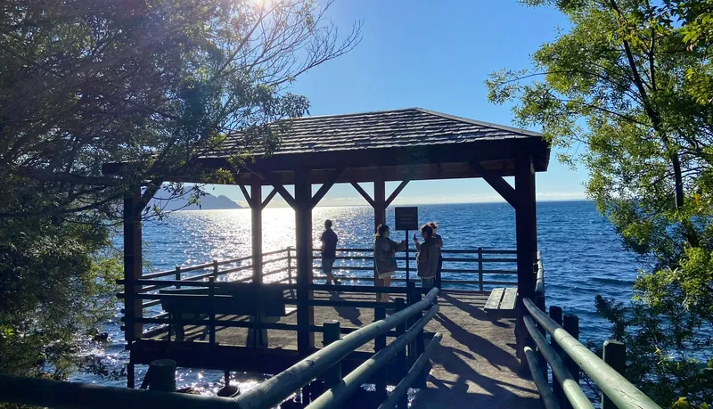 Muelle de madera junto a un lago con árboles y una caseta techada